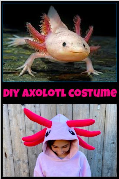 Adult axolotl costume Timmy turner porn comic