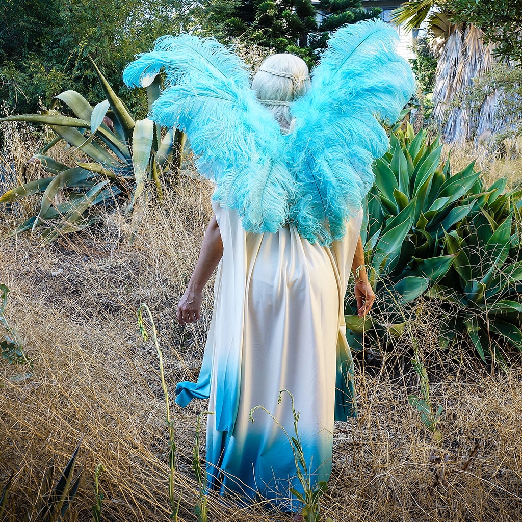Adult blue fairy wings Logitech webcam mount