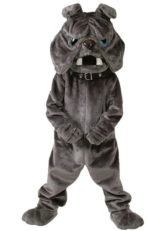 Adult bulldog costume Punta cana webcam