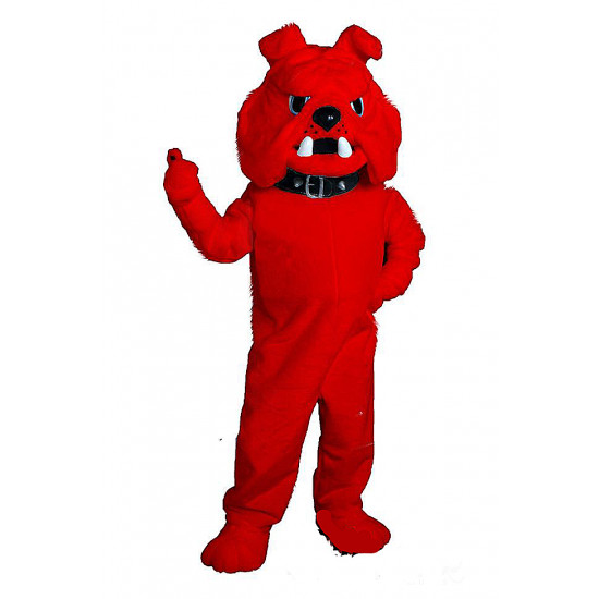 Adult bulldog costume Co1dsmi1e porn