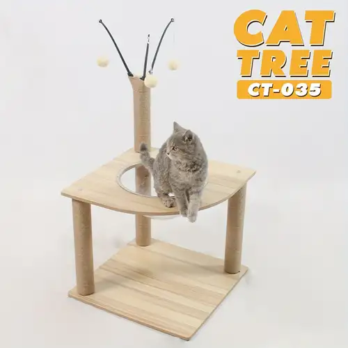 Adult cat tree Seattle webcam pike place