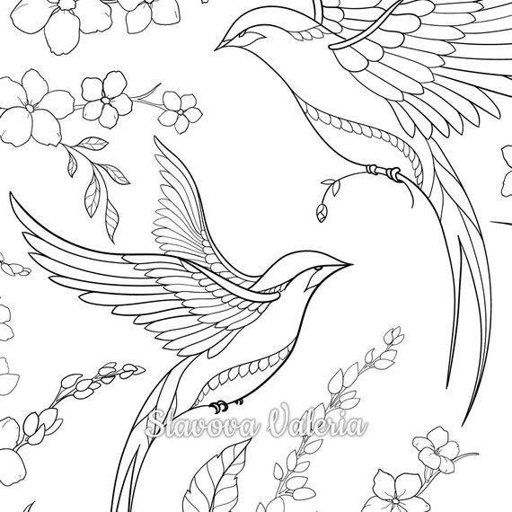 Adult coloring book birds Best friends forever porn