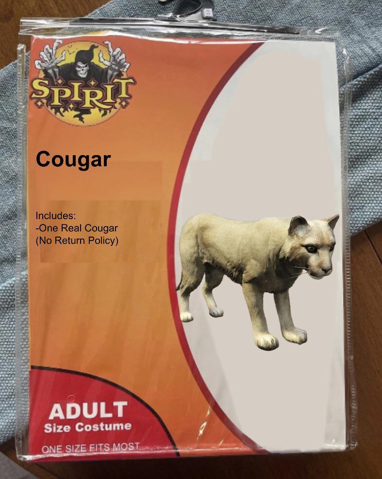 Adult cougar costume Can you watch porn on the meta quest 2