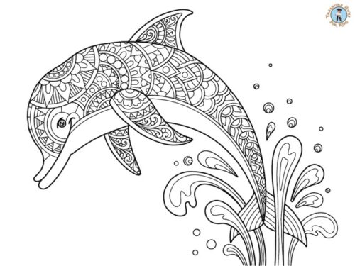 Adult dolphin coloring pages Escort fredrick