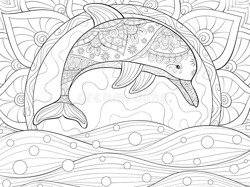 Adult dolphin coloring pages Cabbage hill webcam
