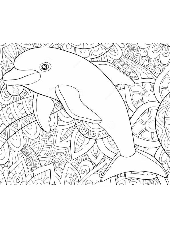 Adult dolphin coloring pages How to anal stretch