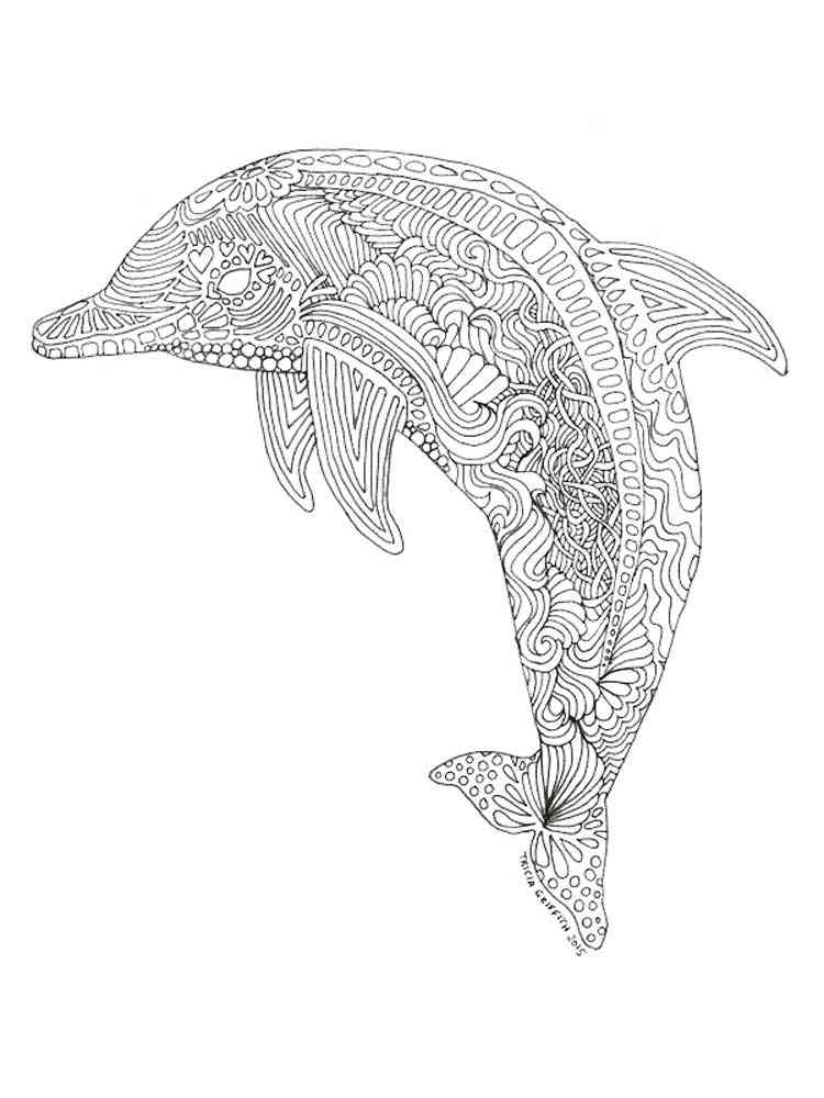 Adult dolphin coloring pages Porn aunty