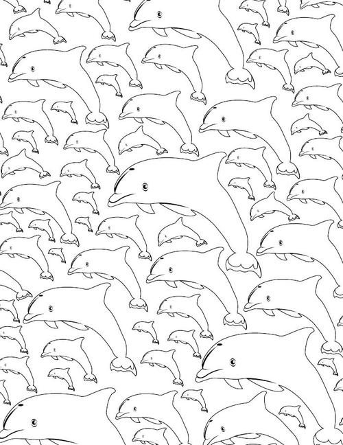 Adult dolphin coloring pages Hot porn picks