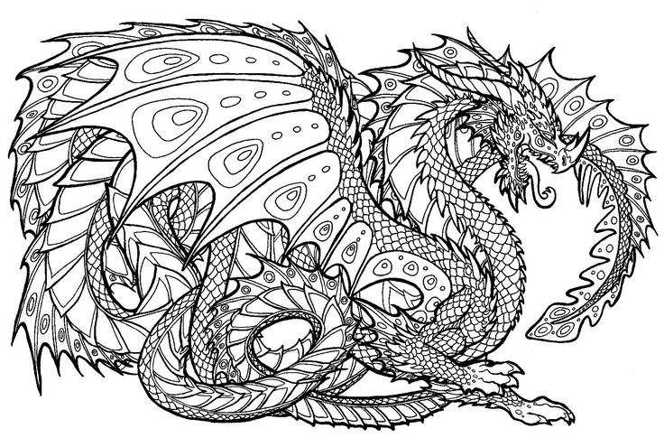 Adult dragon coloring page Accidental pussy flash
