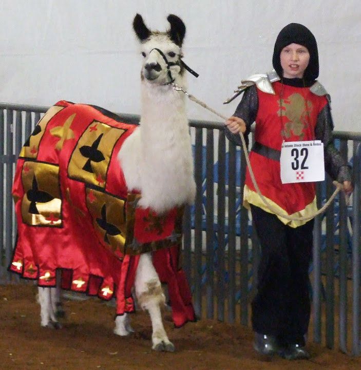 Adult llama costume Armortech threesome
