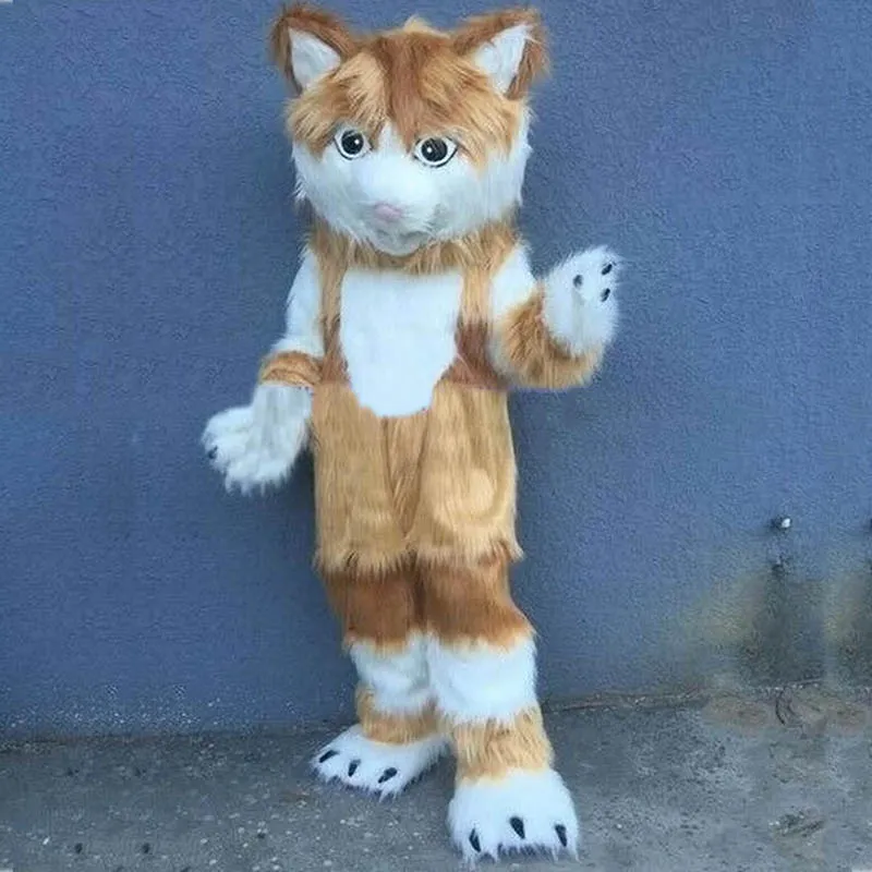 Adult orange cat costume Videos pornos venus