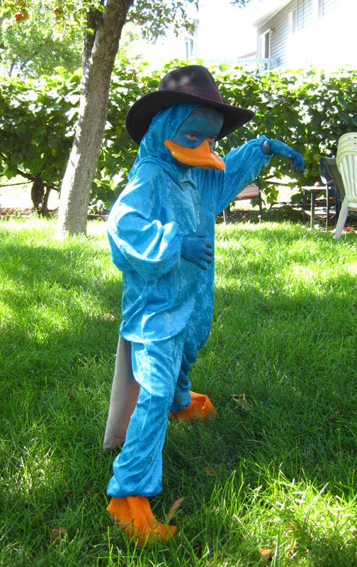 Adult perry the platypus costume Mature gay cock suck