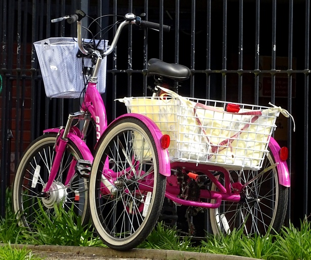 Adult pink tricycle Deltarune queen porn