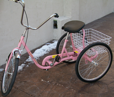 Adult pink tricycle Daisy costume for adults