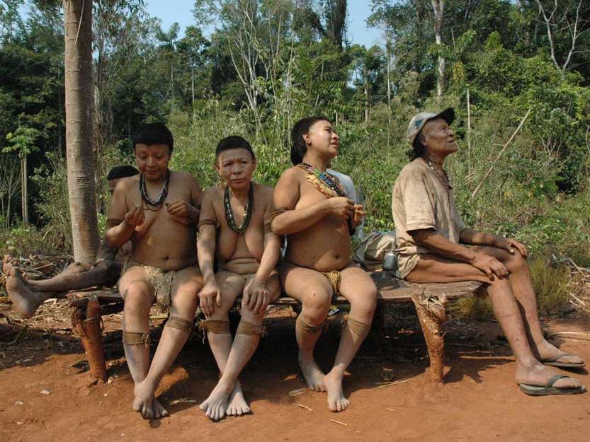 Amazon tribes porn Madgloryholes anal