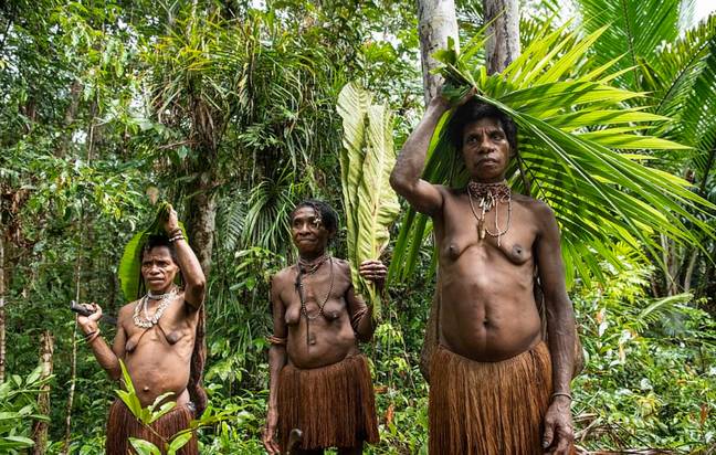 Amazon tribes porn Tortuga porn comics