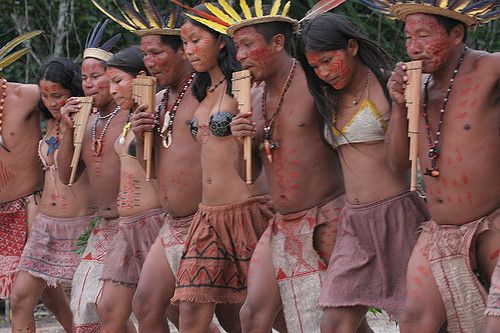 Amazon tribes porn Fatty kirkpatrick porn