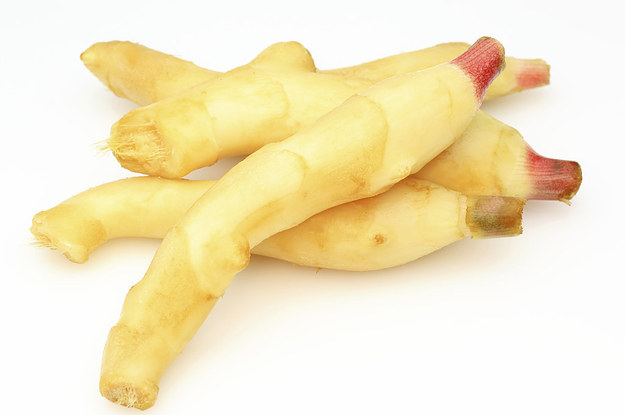 Anal ginger root Interesting puzzles for adults