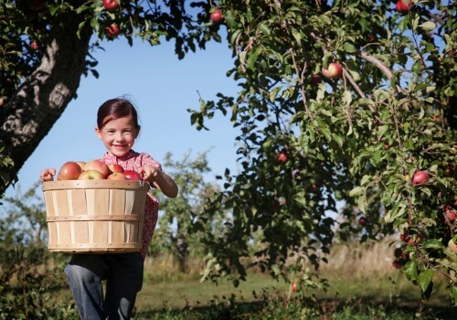 Apple picking for adults Hippopotamus costume adults