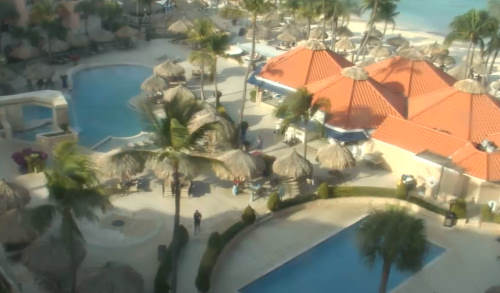 Aruba playa linda webcam Greybeauty porn