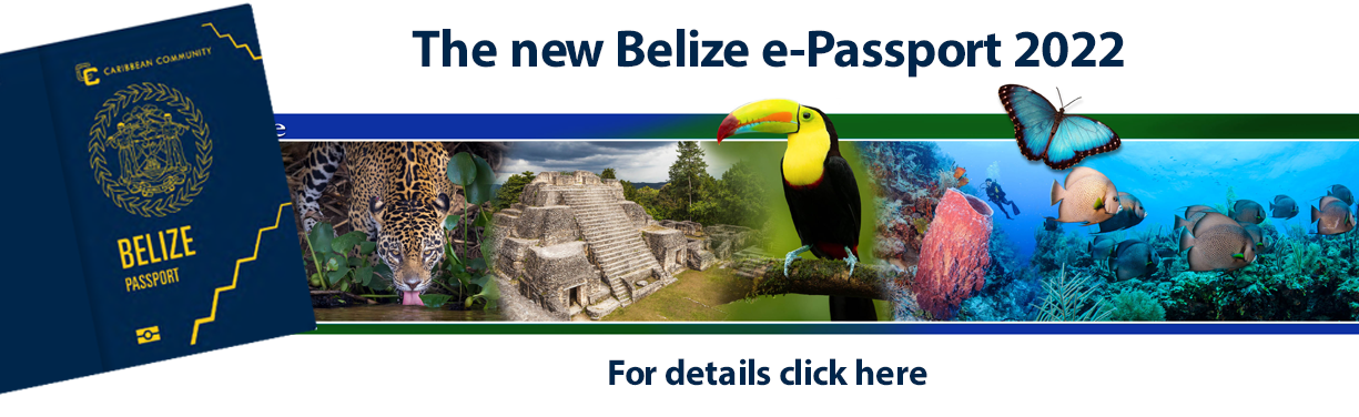 Belize passport application for adults Adult lego watch