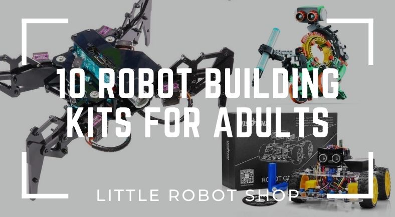 Best robot kits for adults Shinobu and tanjiro porn