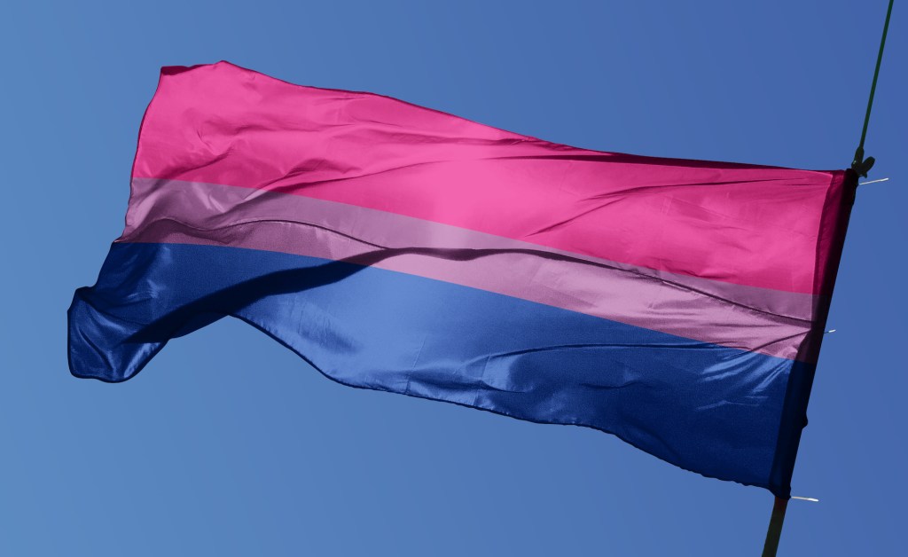 Bi and lesbian flag Does pluto tv have porn