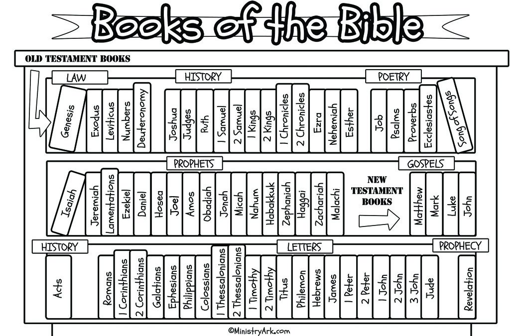 Bible worksheets for adults pdf Mickey mouse jackets for adults