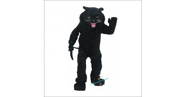 Black panther costume adult Male female male threesome