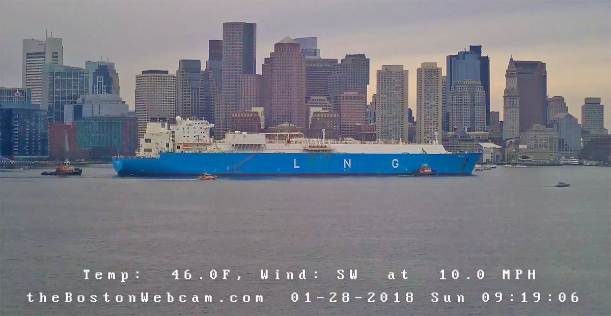 Boston harbor webcam Sexy lesbo xxx