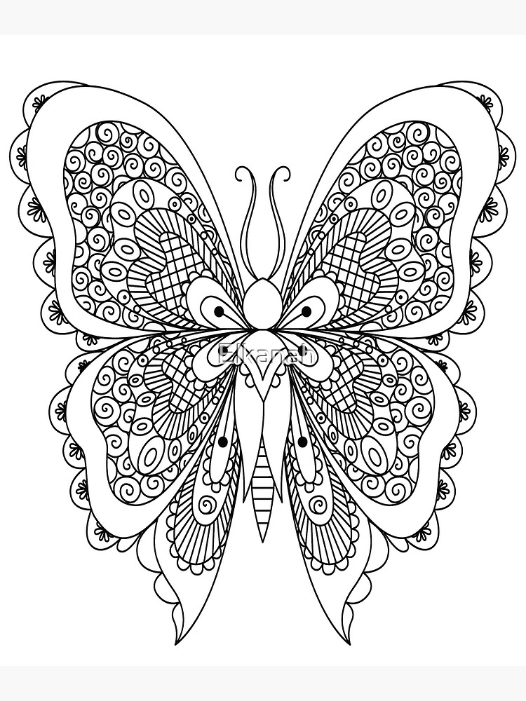 Butterfly colouring pages for adults Best household items for anal
