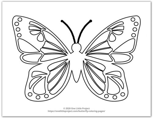 Butterfly colouring pages for adults Latina anal porn free