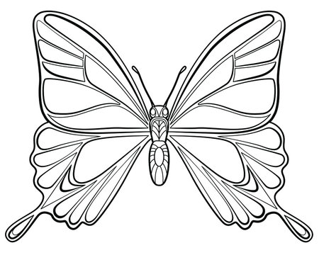 Butterfly colouring pages for adults Anal cook