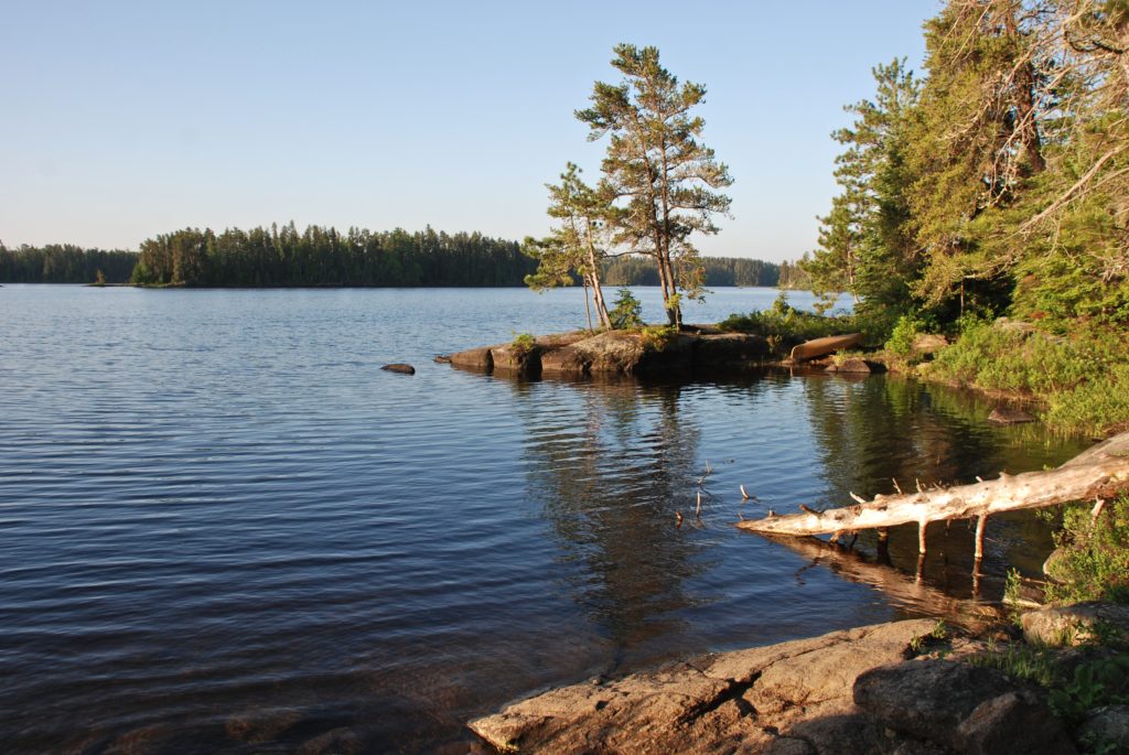 Bwca webcams Coloring pages for adults quotes