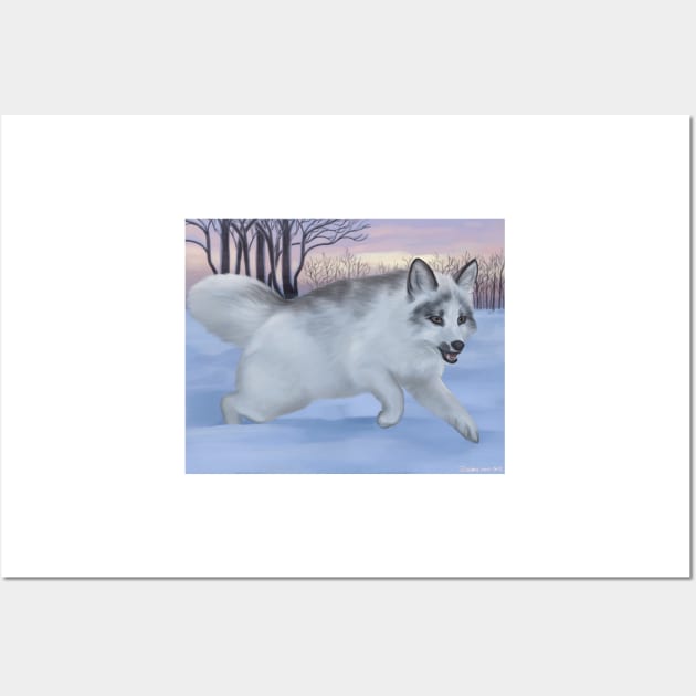 Canadian marble fox adult Loveandlighttv xxx