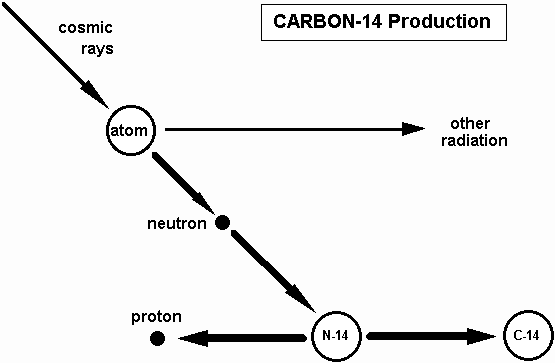 Carbon 14 dating calculator Clips 4 free porn