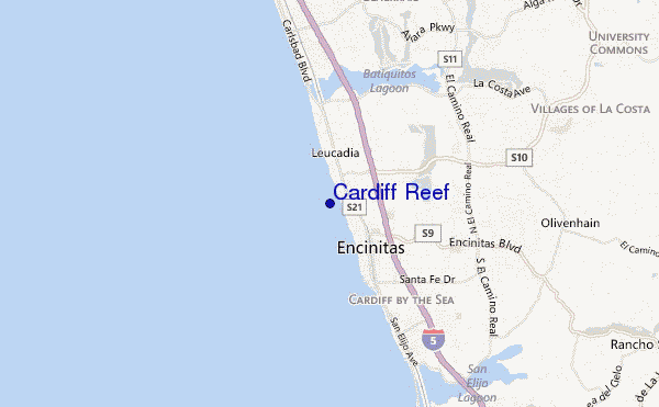 Cardiff reef webcam Escort in long island