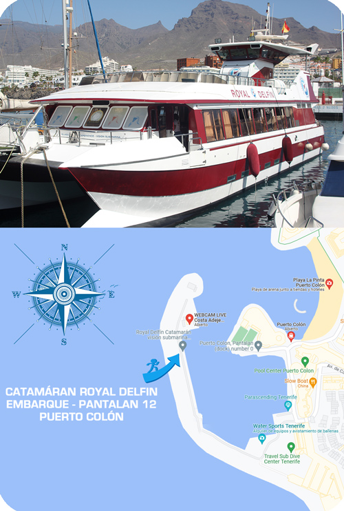 Catamaran webcam Automatic quad for adults