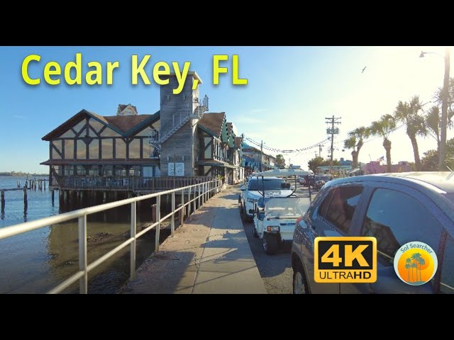 Cedar key webcam downtown pier Homemade amature lesbian videos