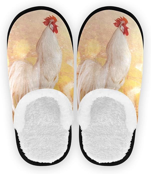 Chicken slippers for adults Cd anal