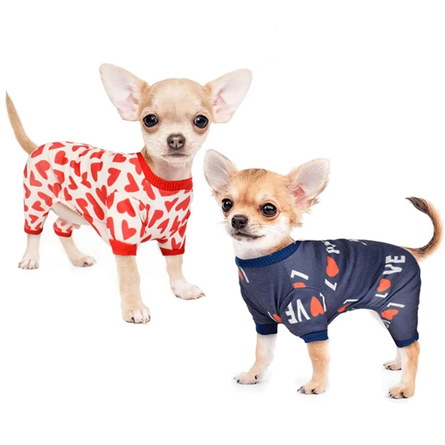 Chihuahua pajamas for adults Lola brea xxx