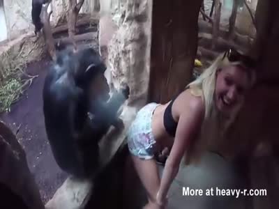 China zoo porn Escorts in douglasville