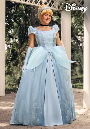 Cinderella adult dress Teach me fisting