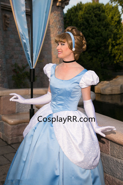 Cinderella adult dress Adult hippy costumes