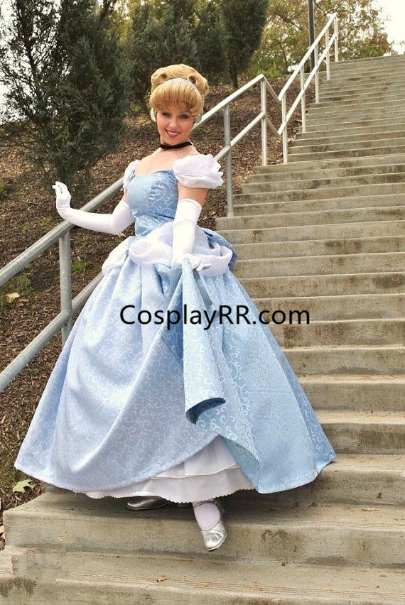 Cinderella adult dress Escort roanoke