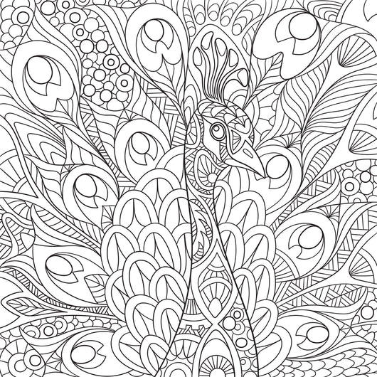 Coloring pages for adults peacock Steampunk alice in wonderland coloring pages for adults