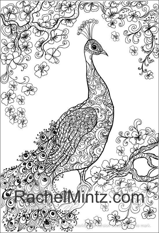 Coloring pages for adults peacock Lindsey graham escort