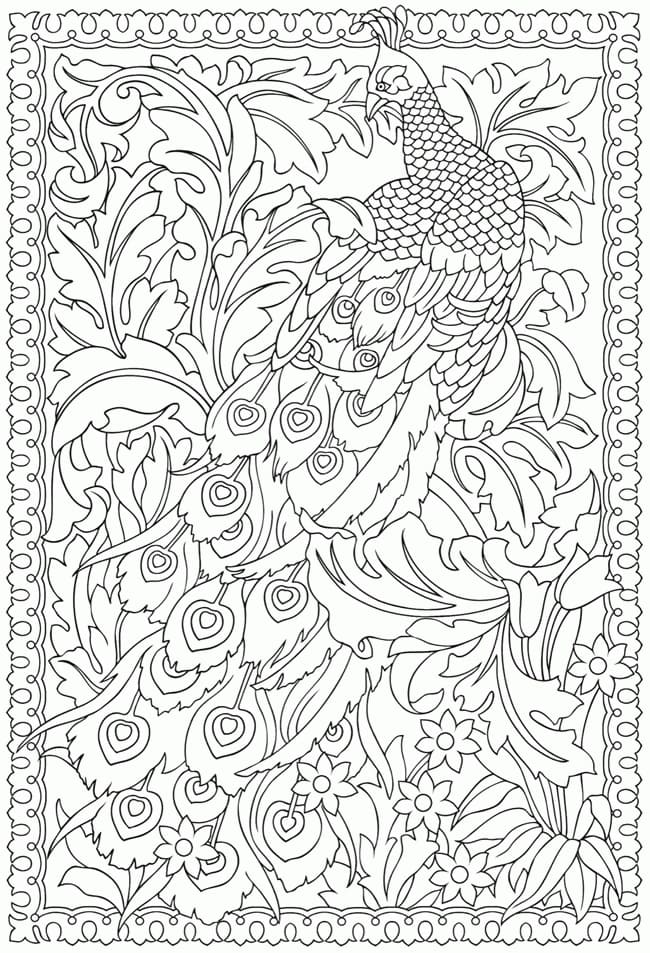 Coloring pages for adults peacock Homemade local porn