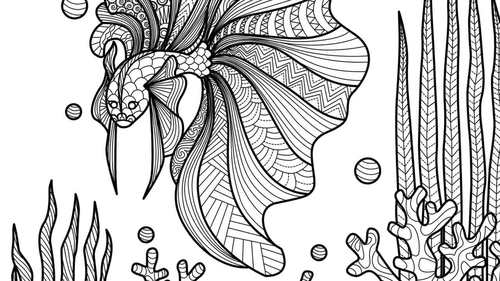 Coloring pages for adults printable animals Free female porn videos