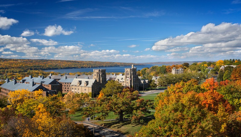 Cornell university dating Biltmore estate webcam